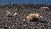 Ubehebe Crater 16-6491